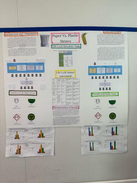 paper vs plastic straws poster